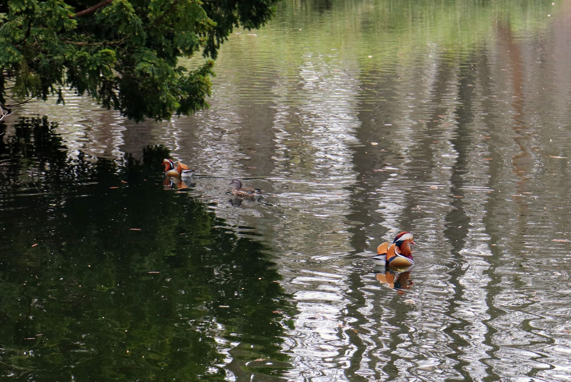 Tiergarten Park