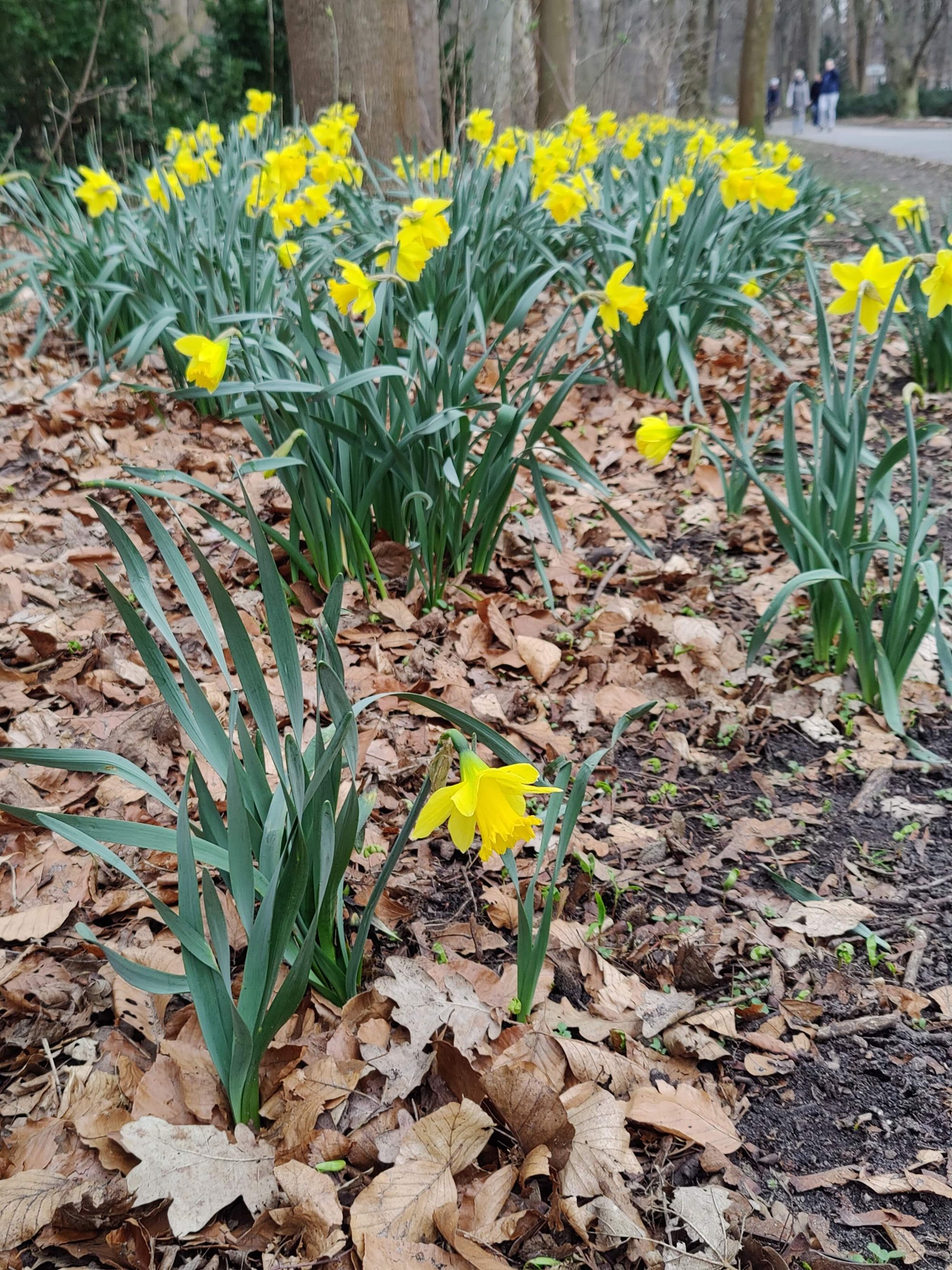 Tiergarten Park